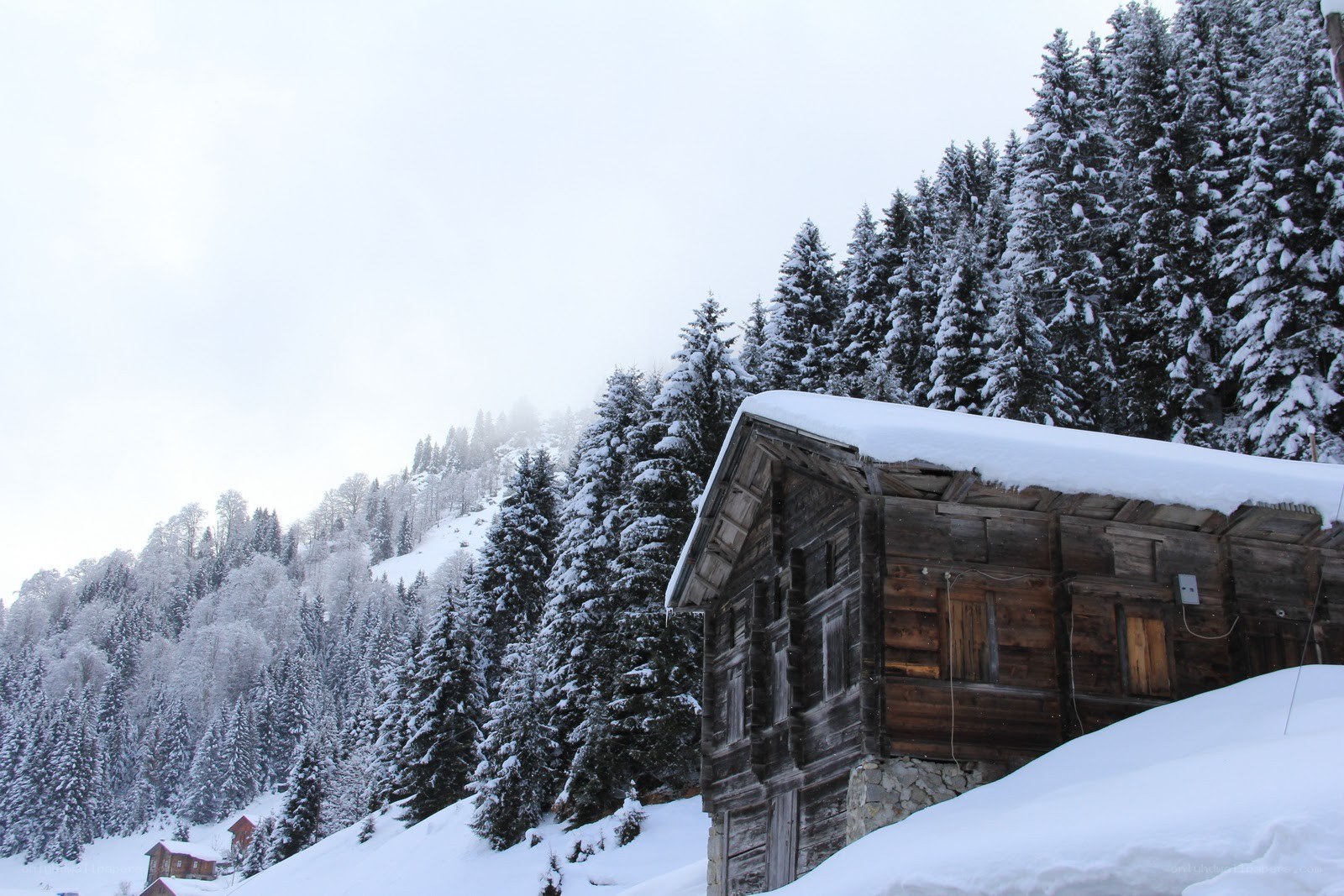 Snowy cabin in forest