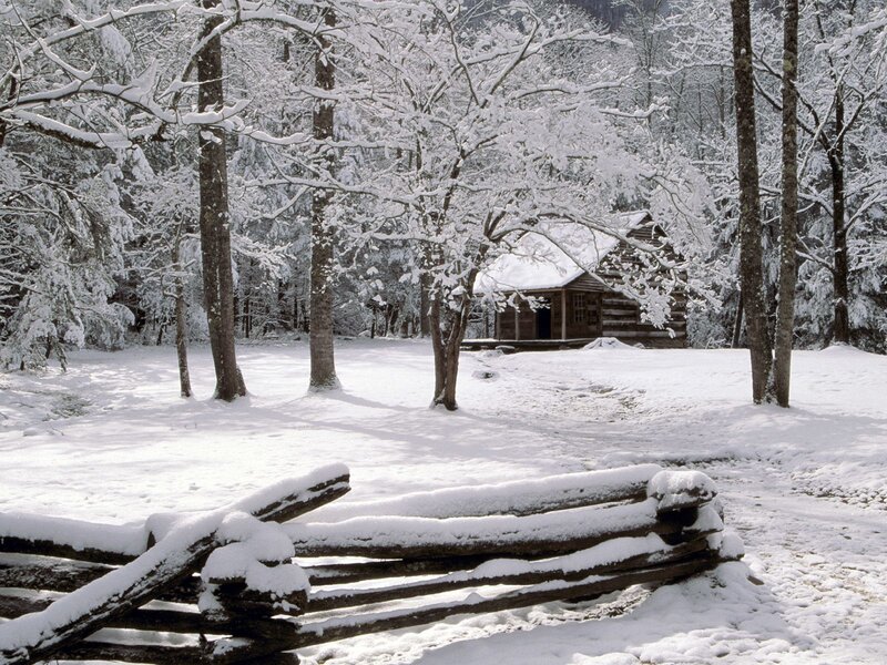 Snowy cabin in forest