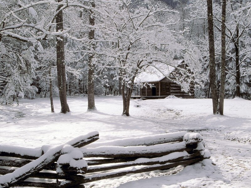 Snowy cabin in forest