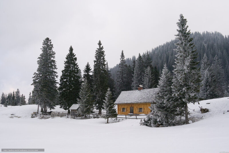 Snowy cabin in forest