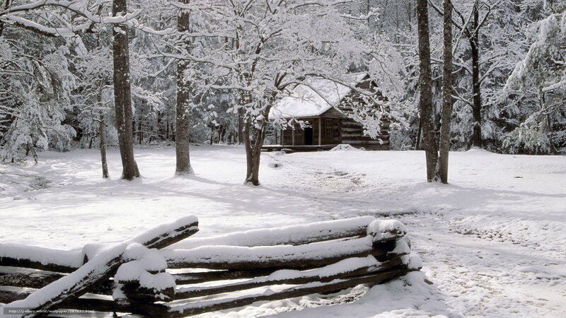 Snowy cabin in forest