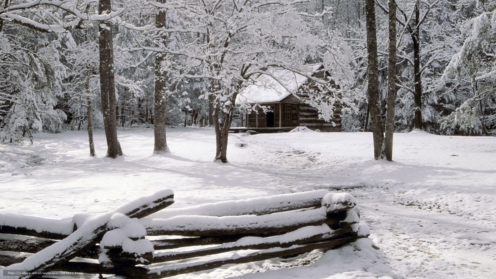 Snowy cabin in forest