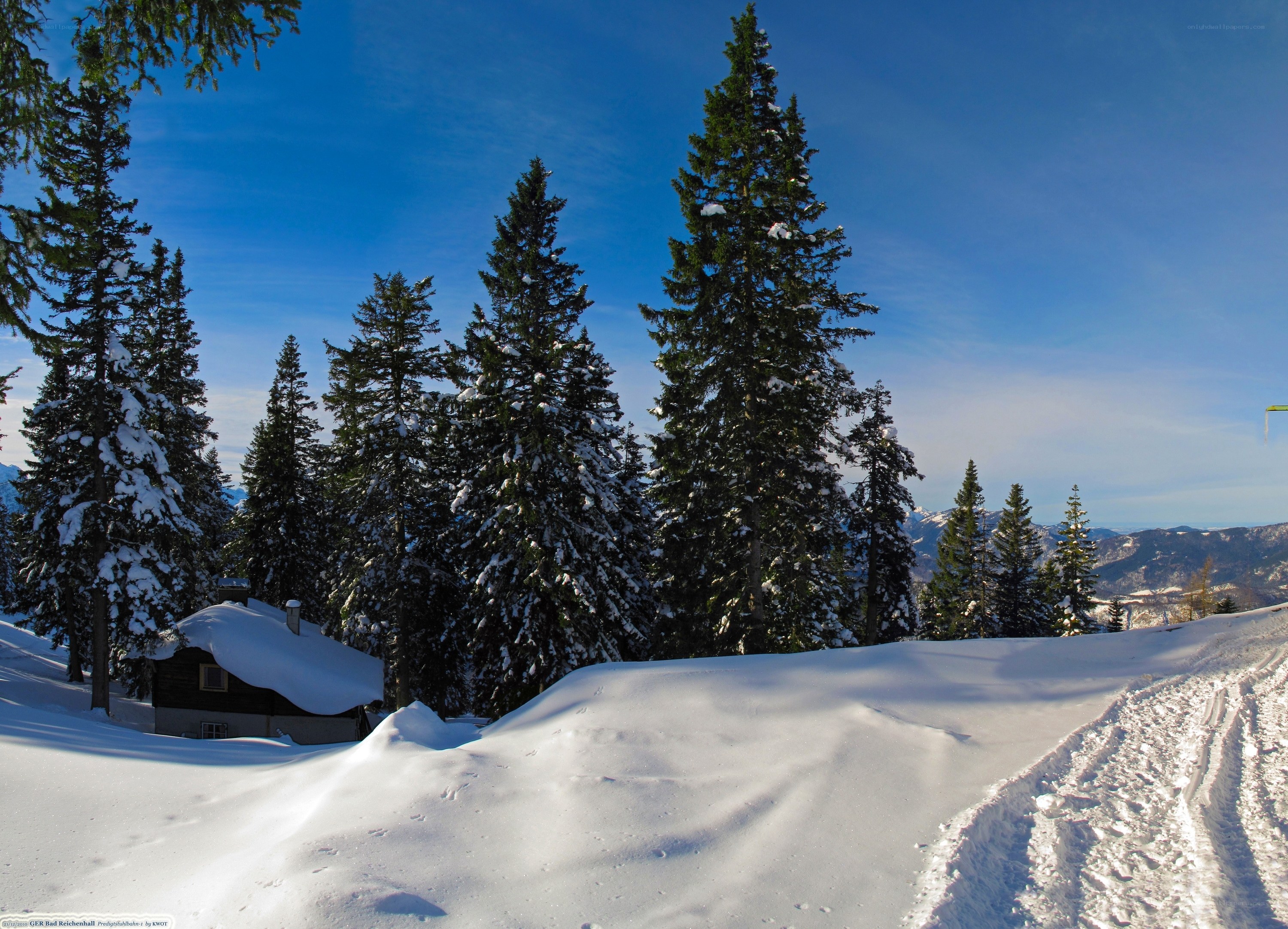 Snowy cabin in forest