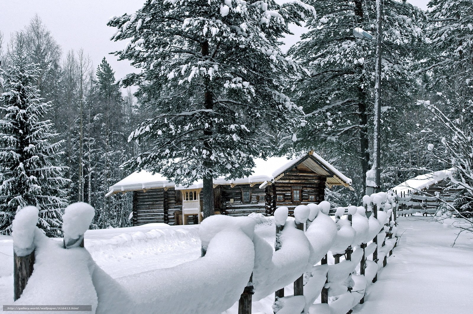 Snowy cabin in forest
