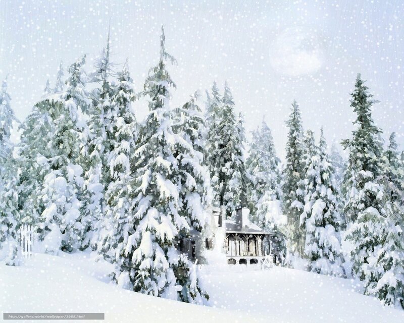 Snowy Cabin in Forest
