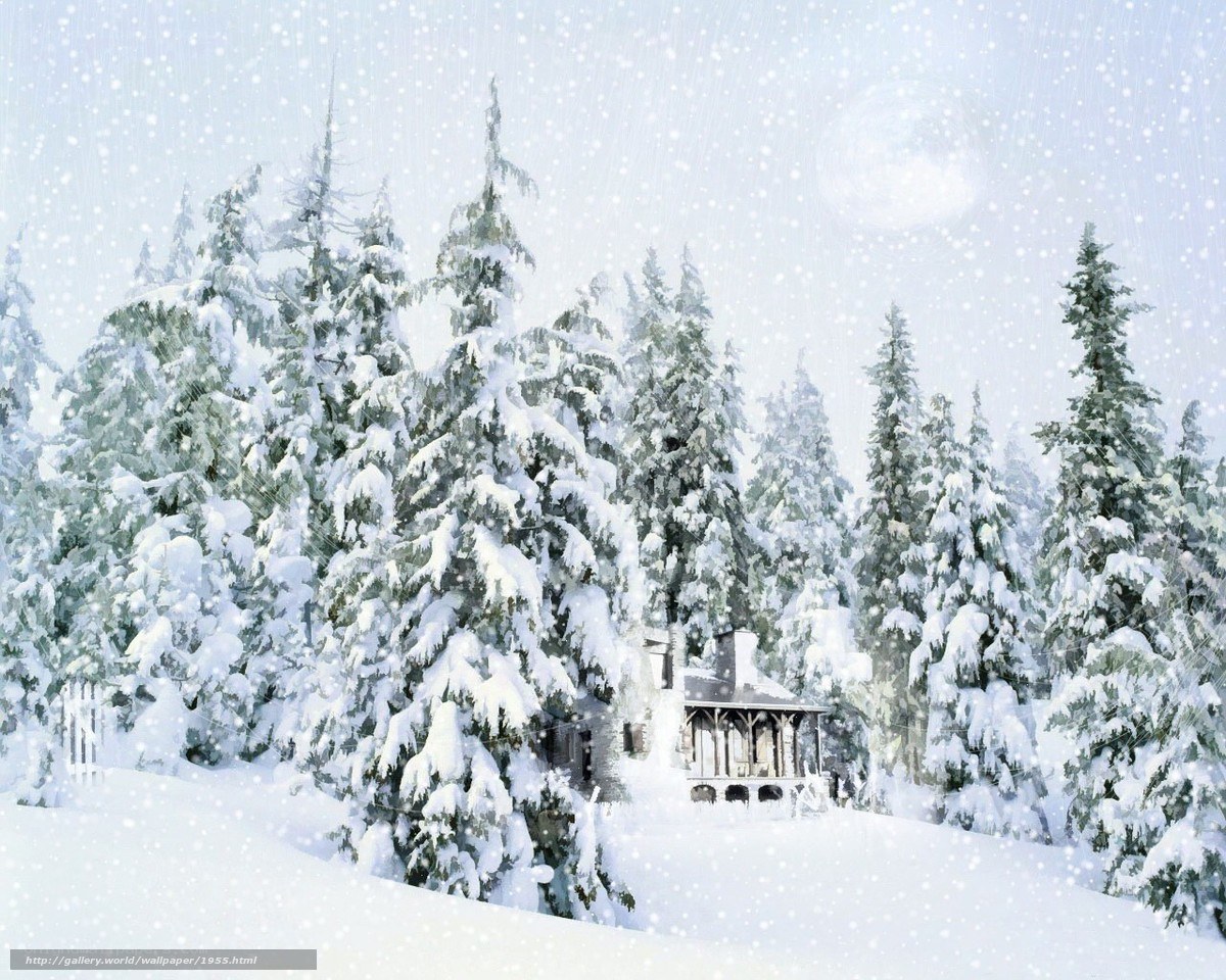 Snowy Cabin in Forest