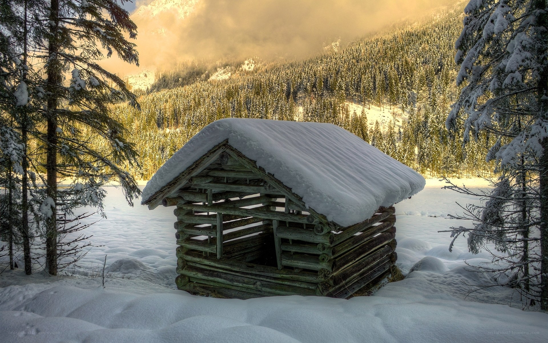 Snowy cabin in mountain forest