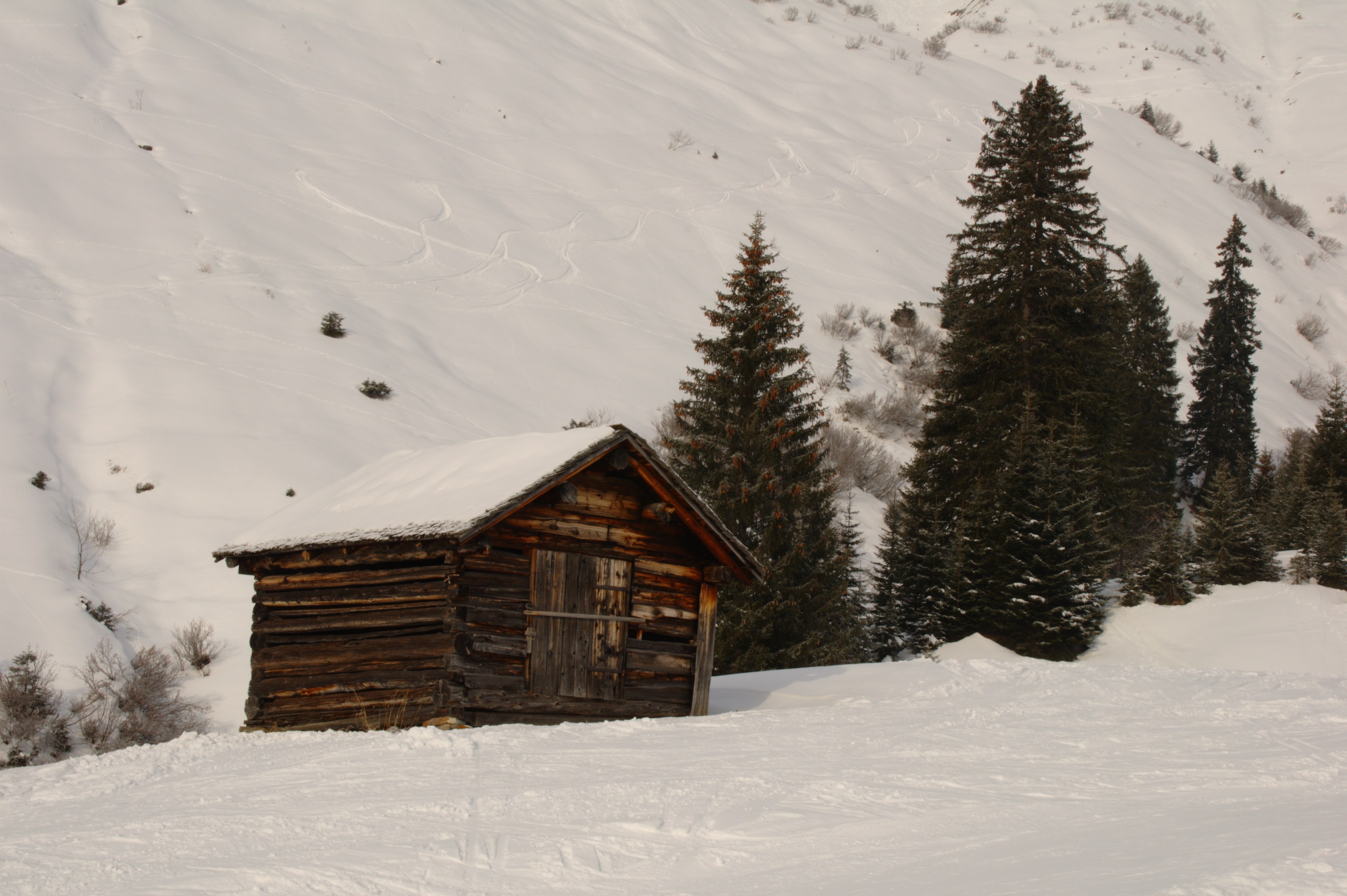 Snowy cabin in mountain valley