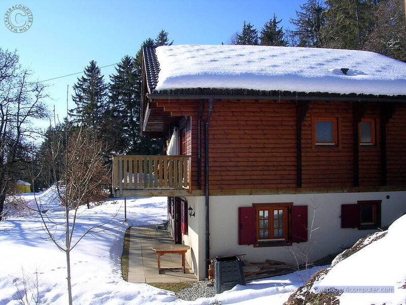 Snowy cabin in the forest