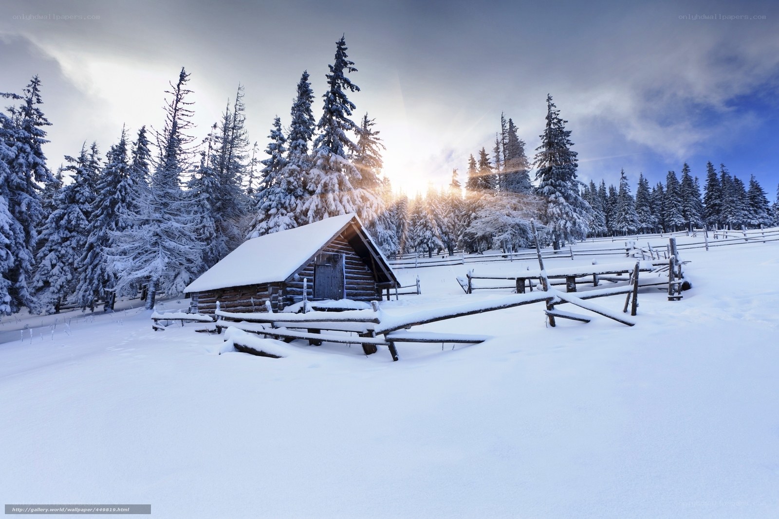 Snowy cabin in winter forest