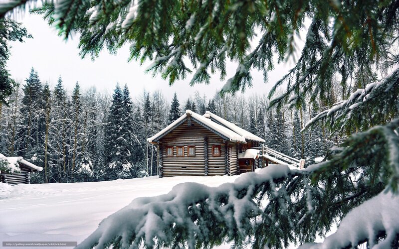 Snowy cabin in winter forest