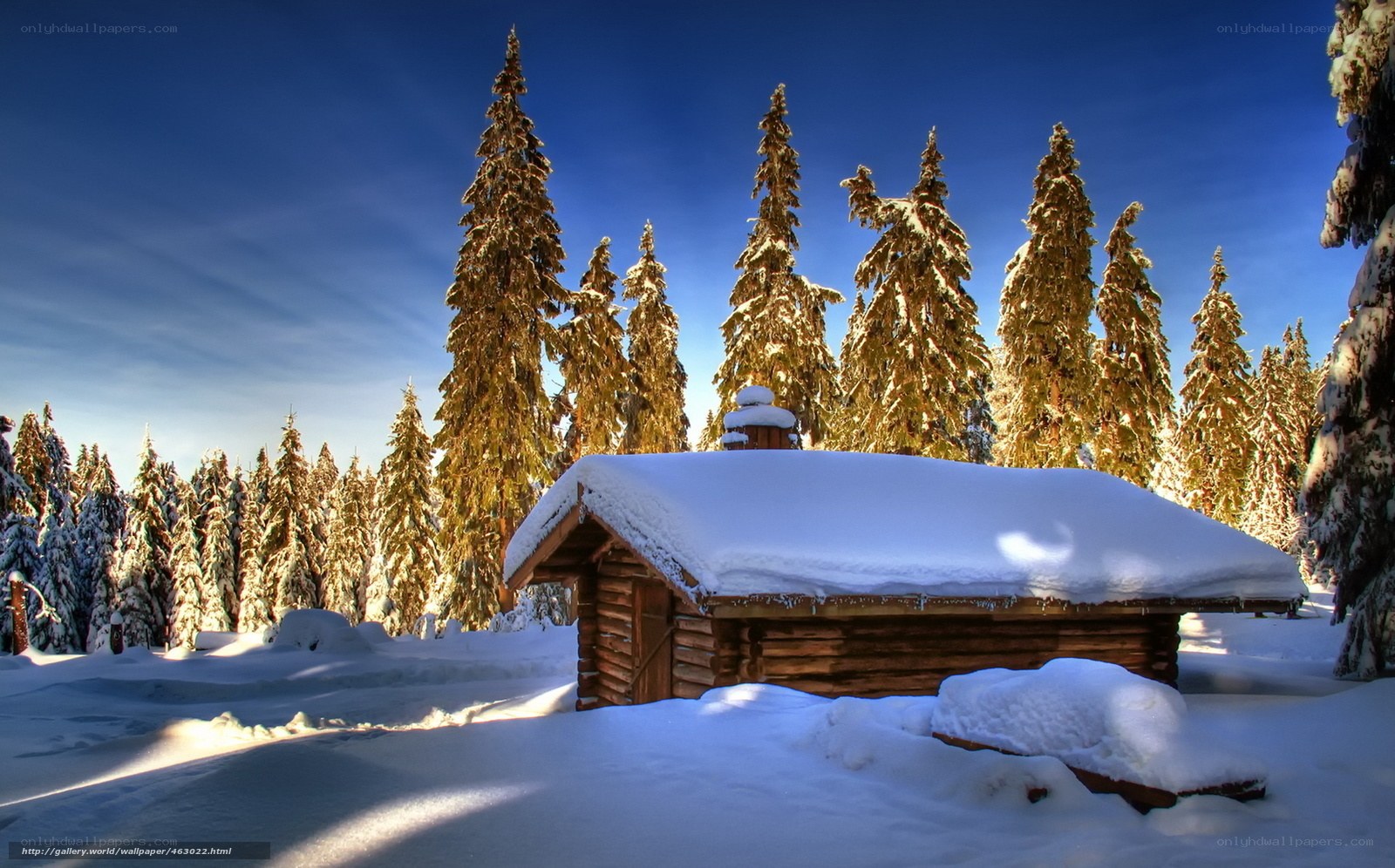 Snowy cabin in winter forest