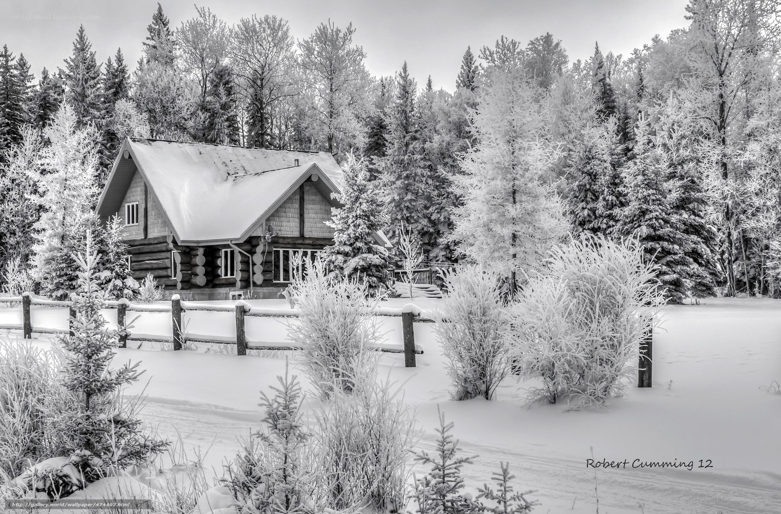 Snowy Cabin in Winter Forest