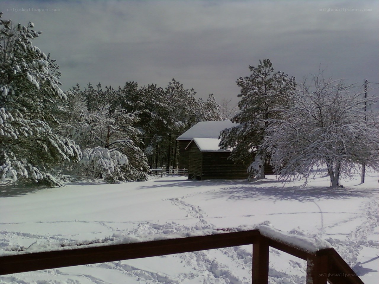 Snowy cabin in winter forest