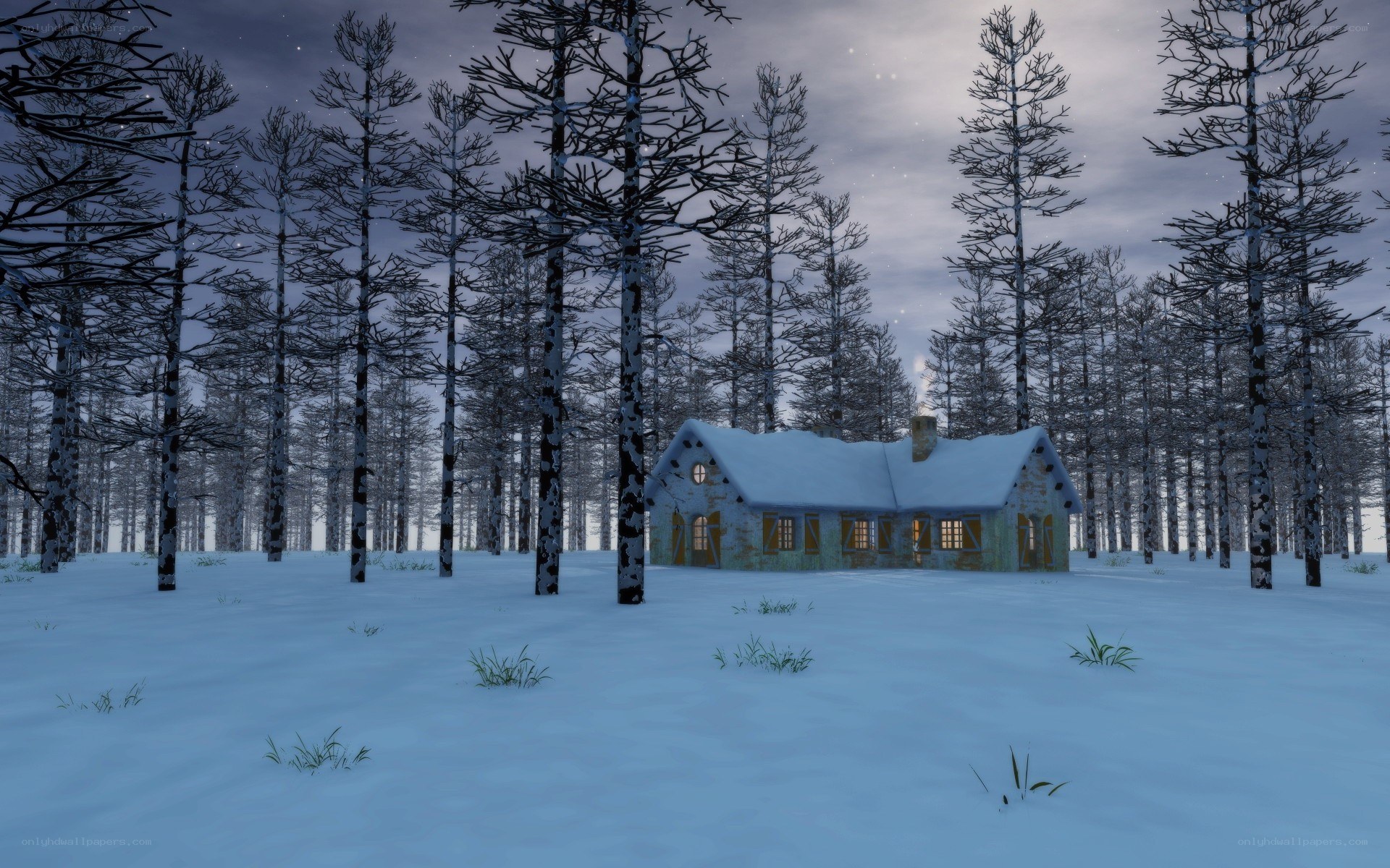 Snowy cabin in winter forest