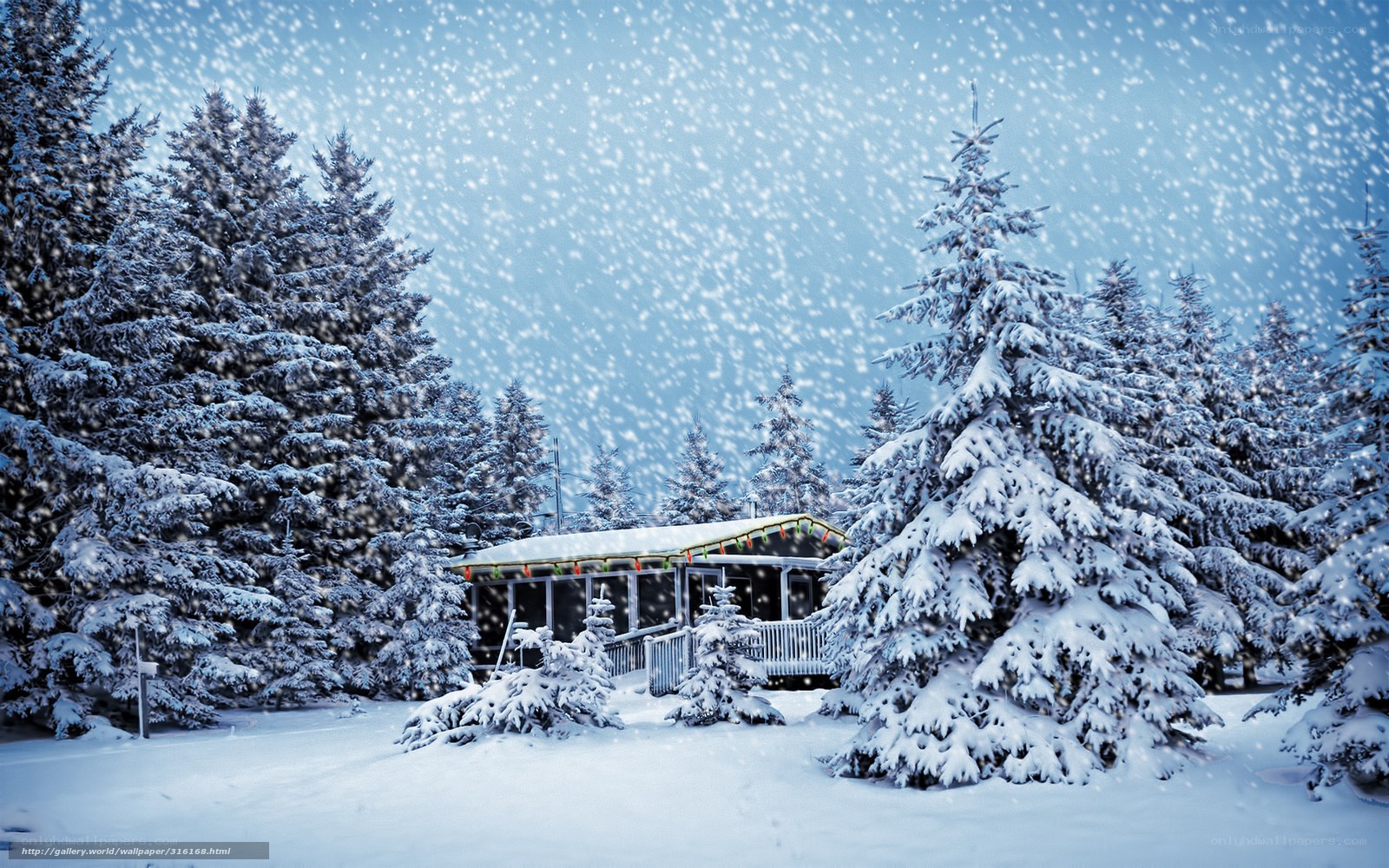 Snowy cabin in winter forest