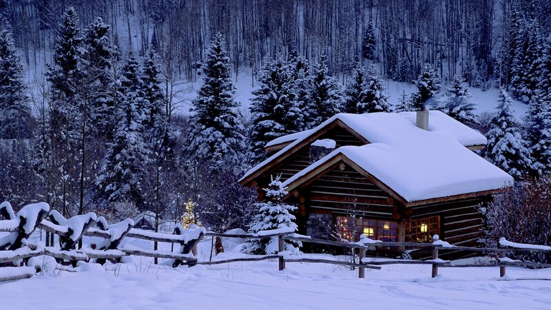 Snowy cabin in winter forest