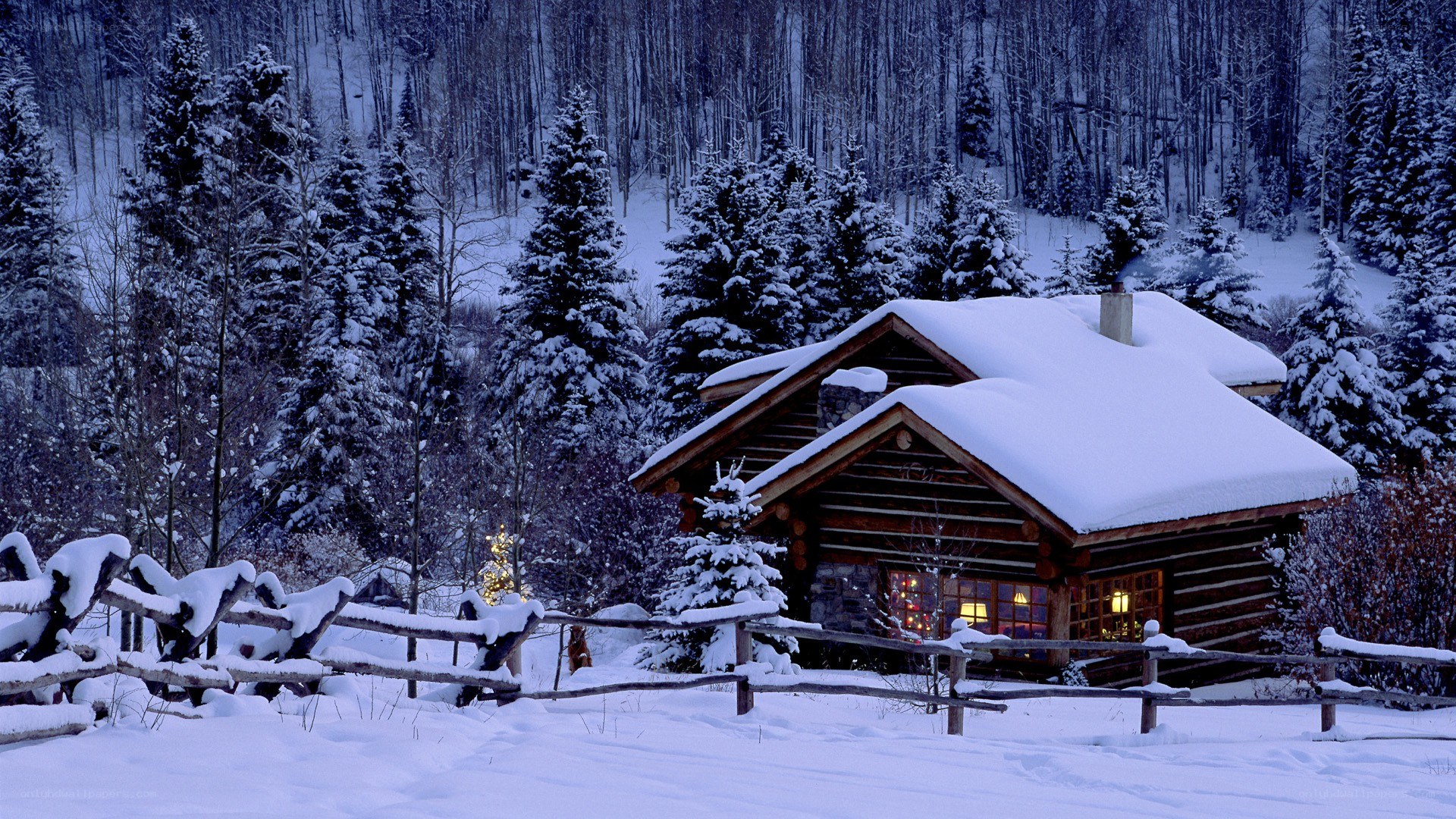 Snowy cabin in winter forest
