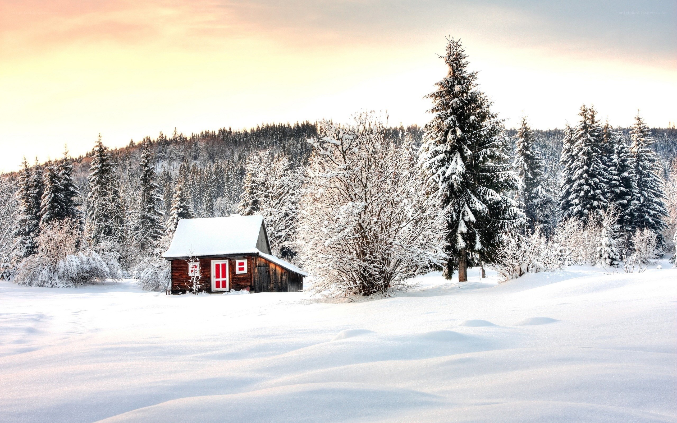 Snowy cabin in winter forest