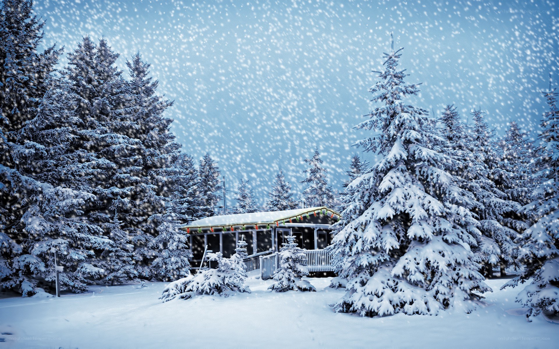 Snowy cabin in winter forest