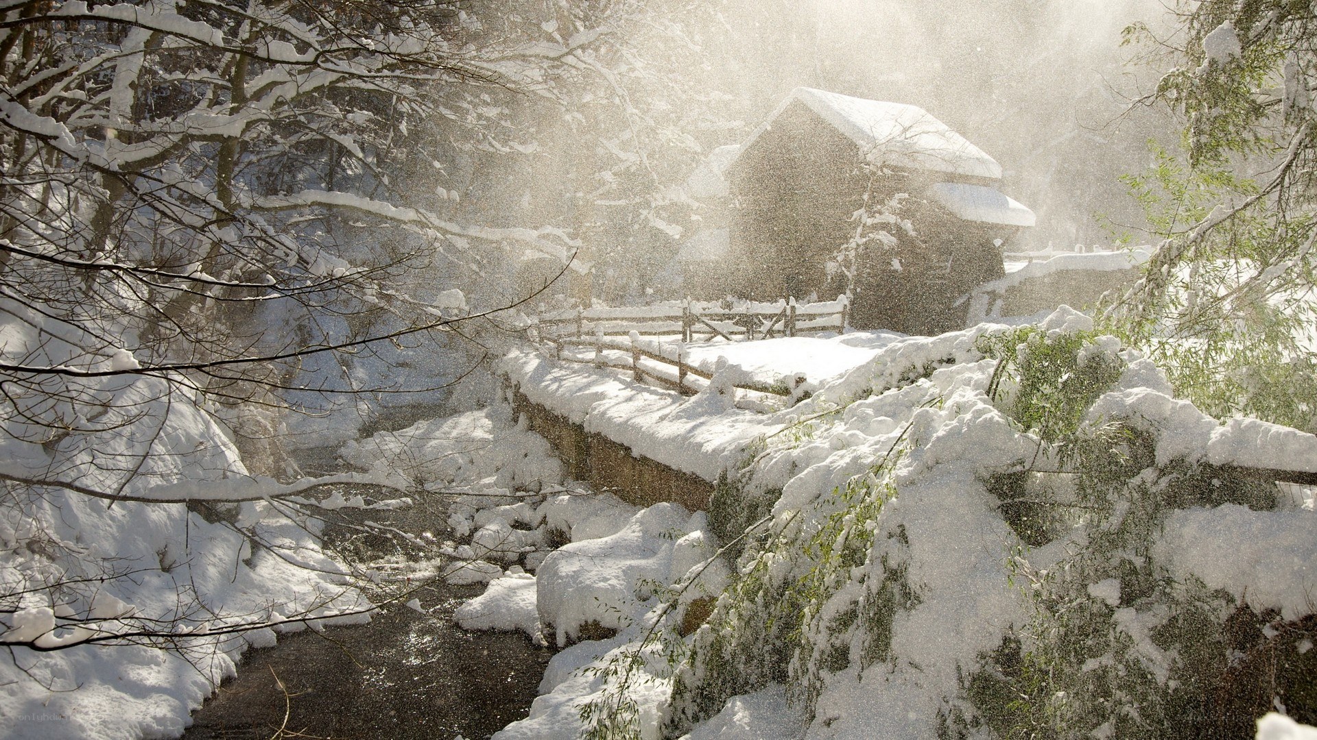 Snowy cabin in winter forest
