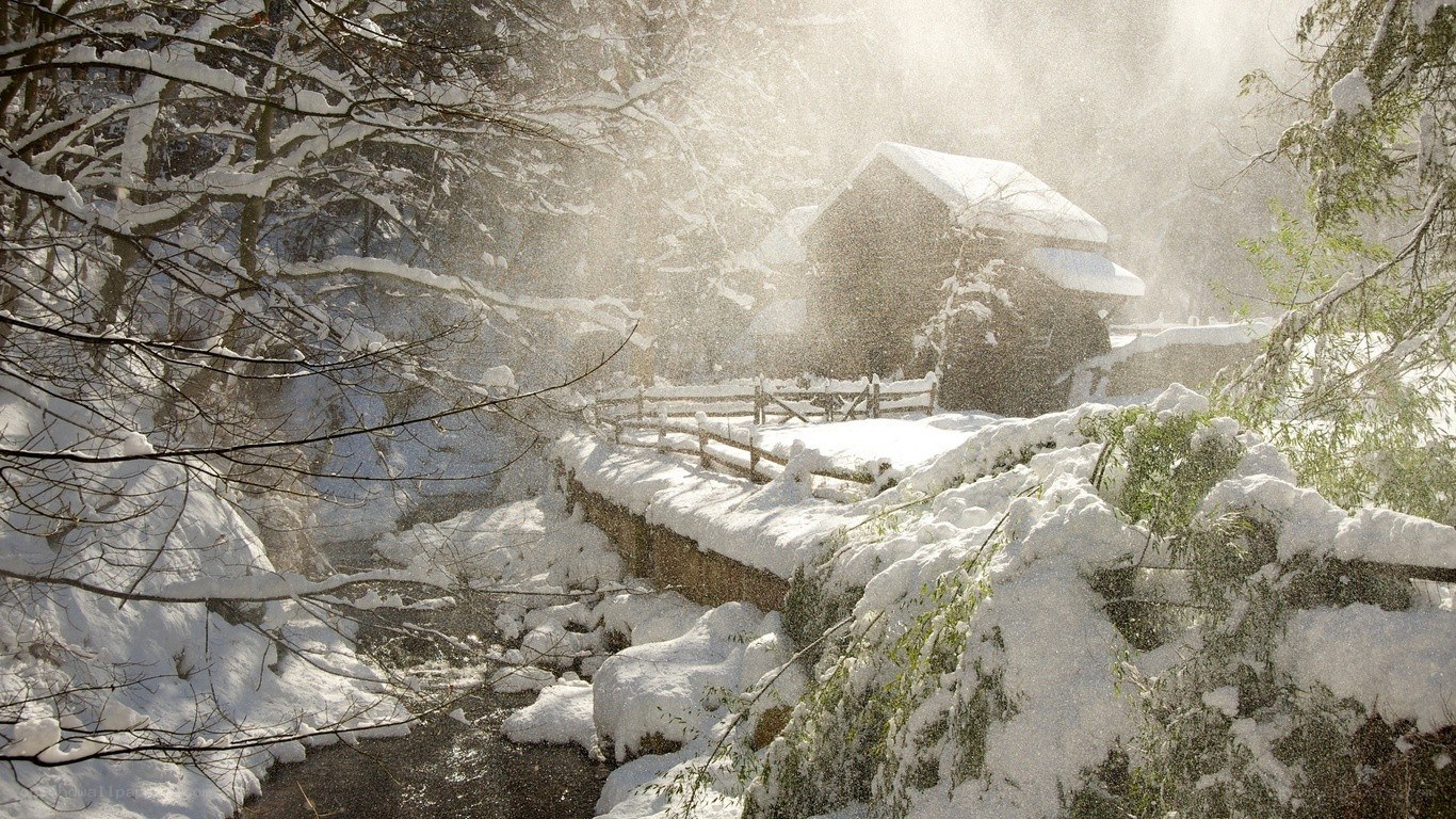 Snowy cabin in winter forest