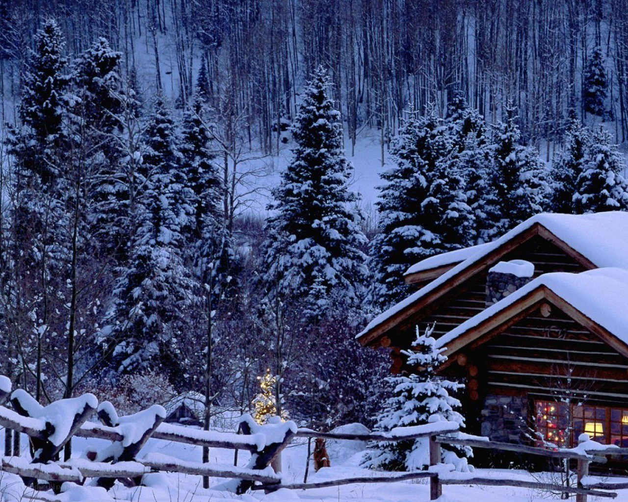 Snowy cabin in winter forest