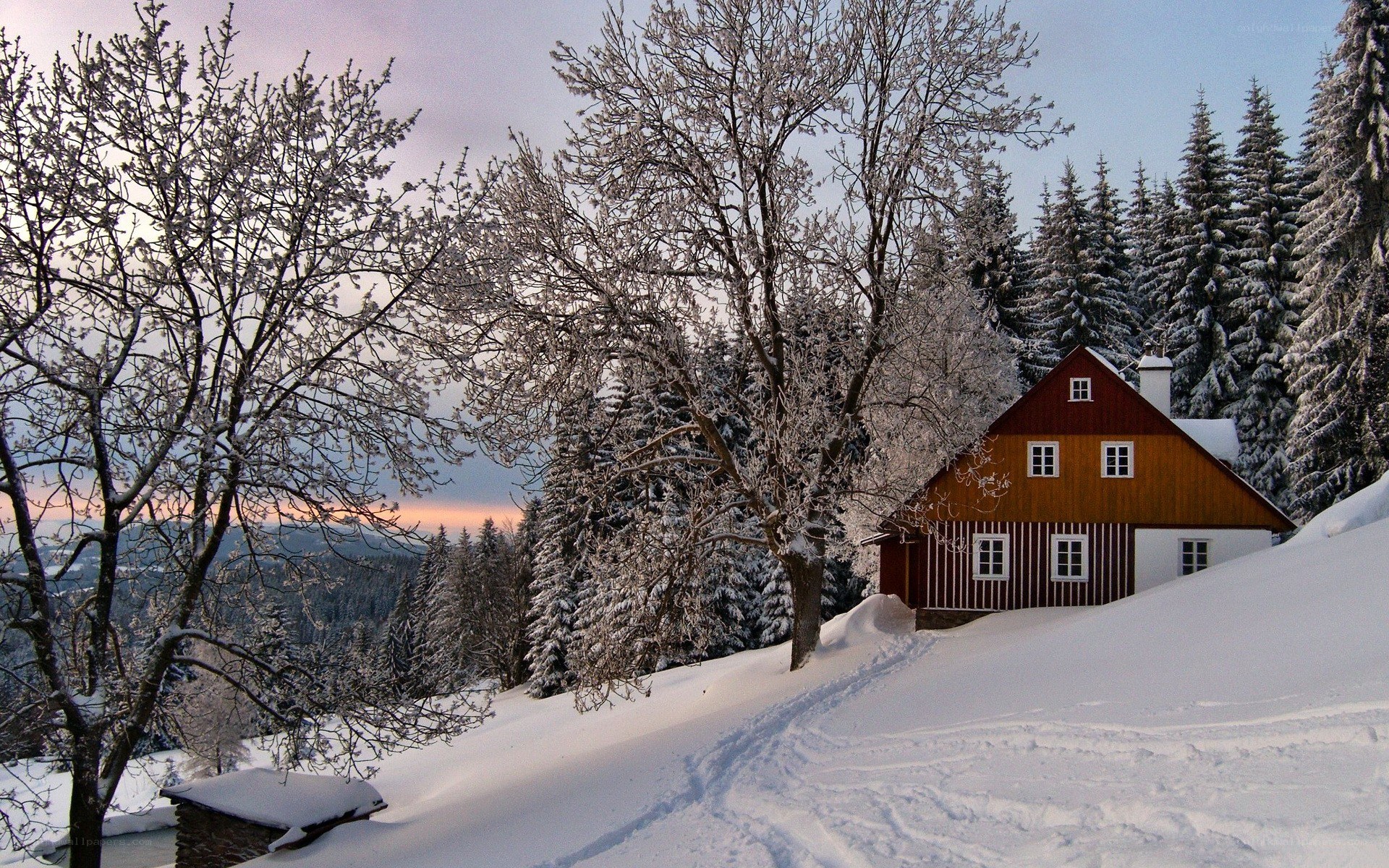 Snowy cabin in winter forest