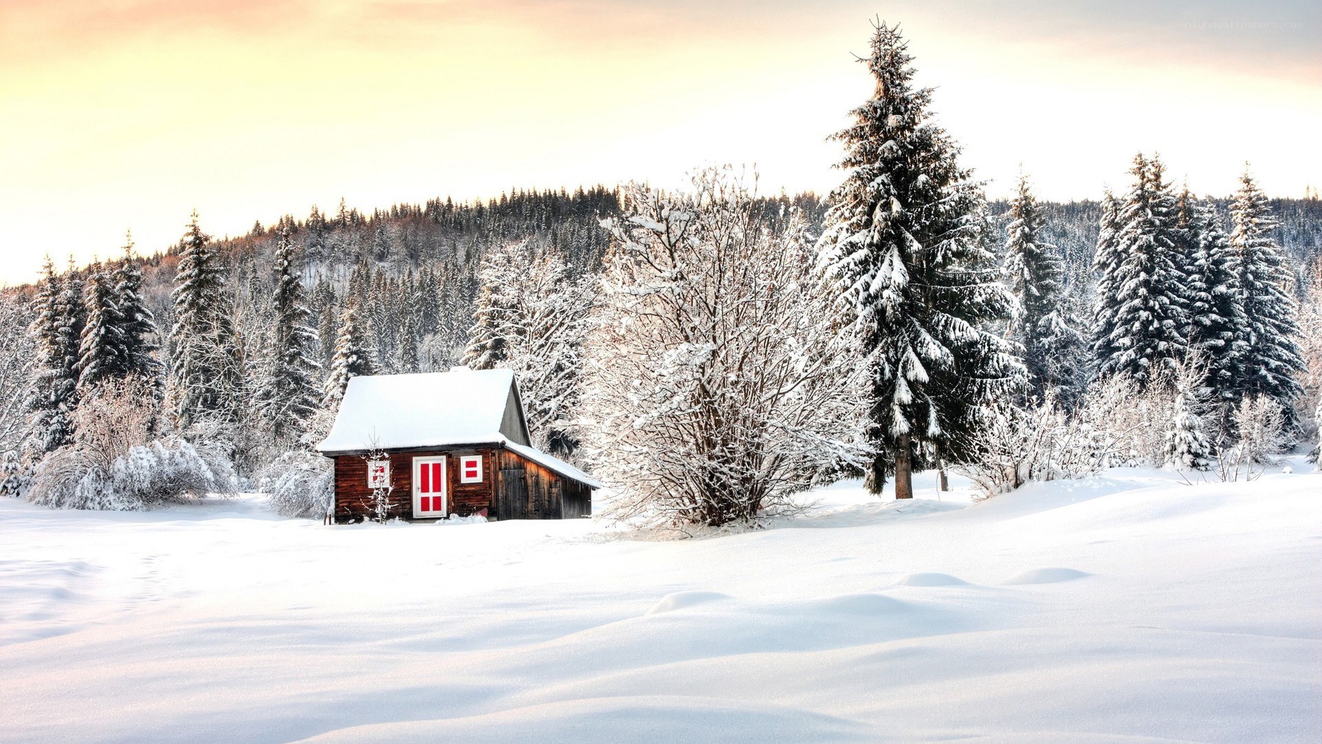 Snowy cabin in winter forest