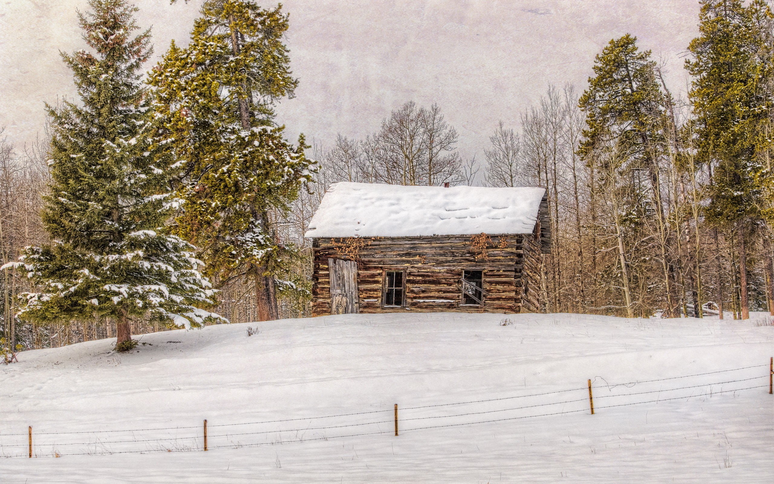Snowy cabin in winter forest