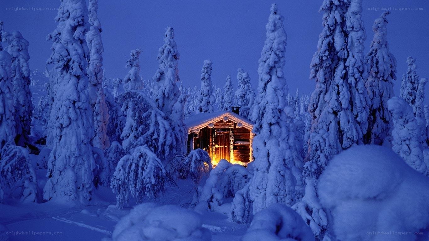 Snowy cabin in winter forest
