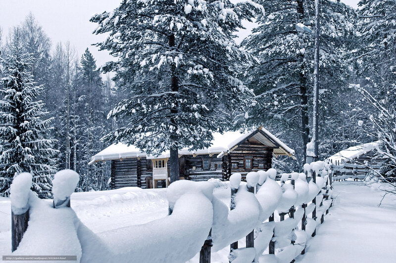 Snowy cabin in winter forest