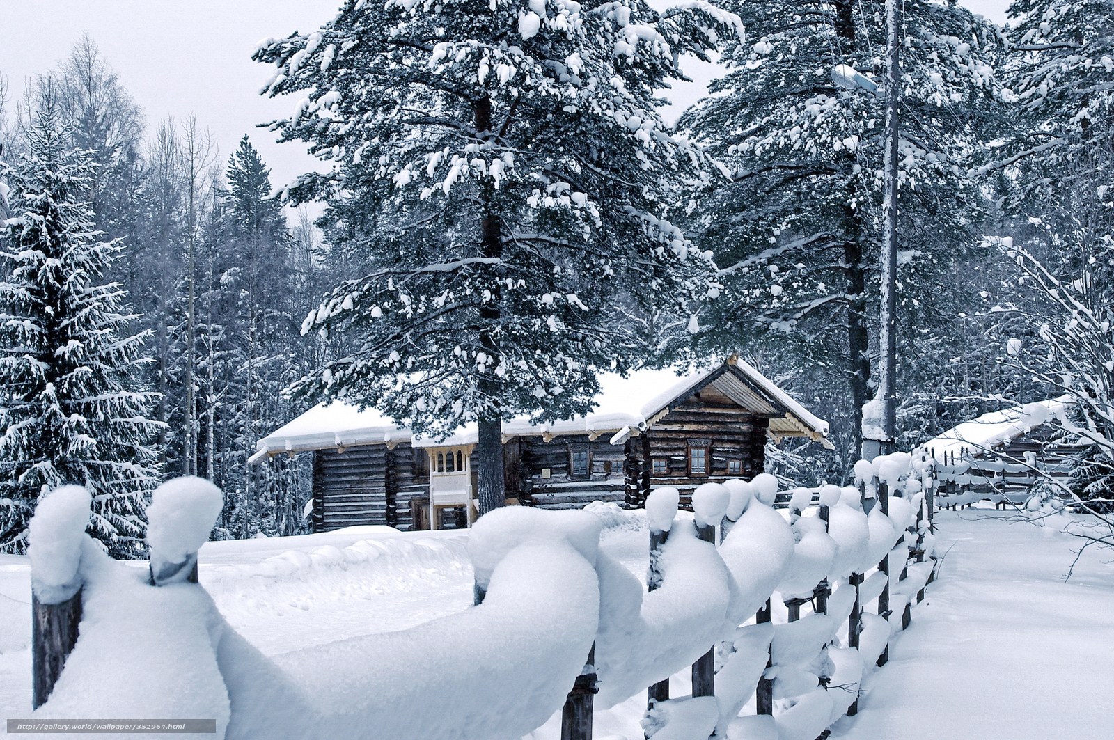 Snowy cabin in winter forest