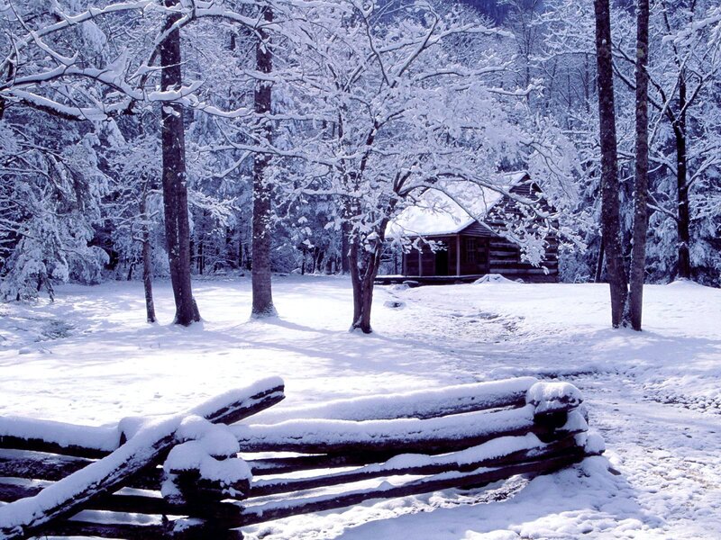 Snowy cabin in winter forest