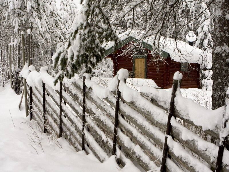 Snowy cabin in winter forest
