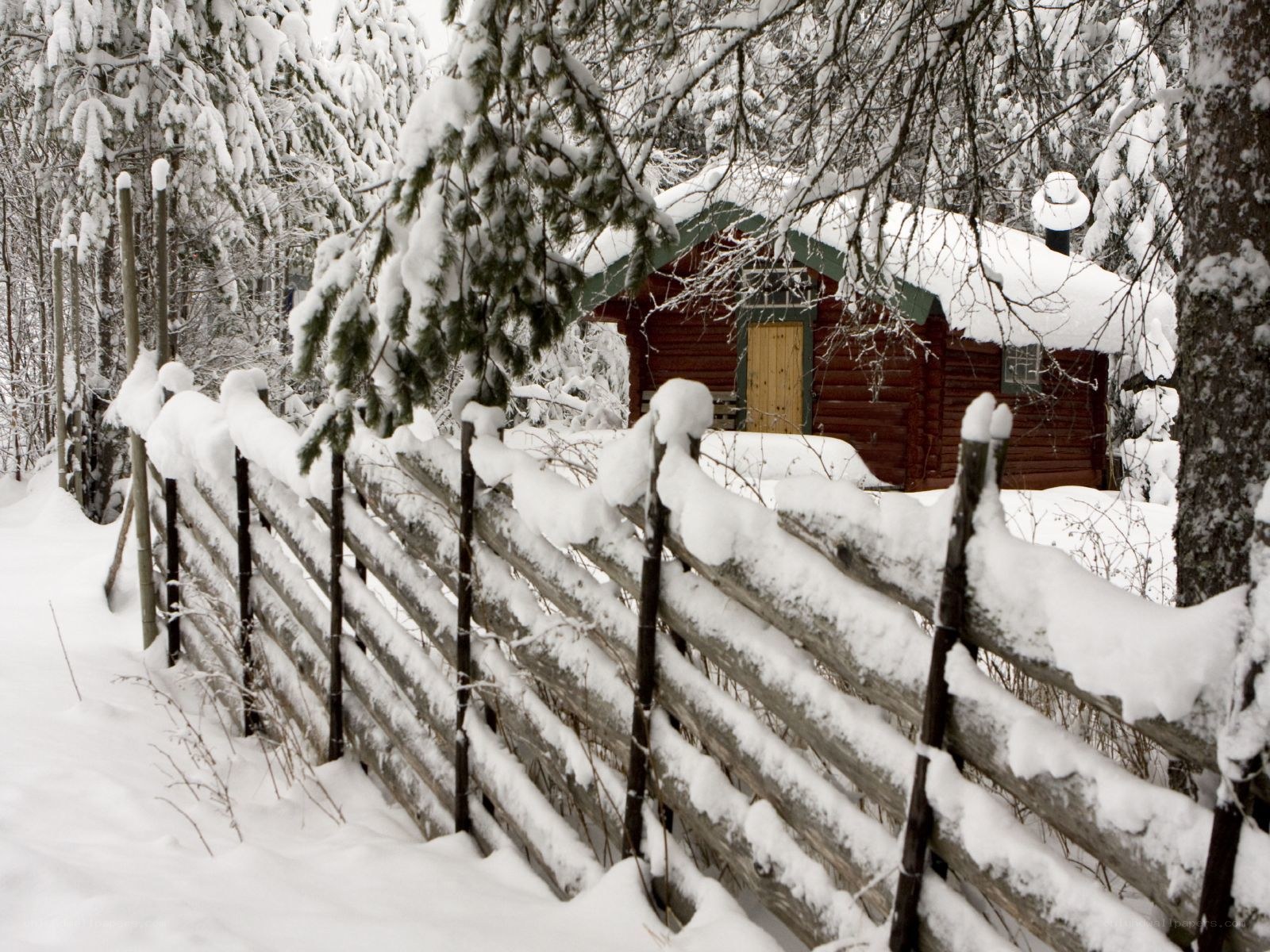 Snowy cabin in winter forest