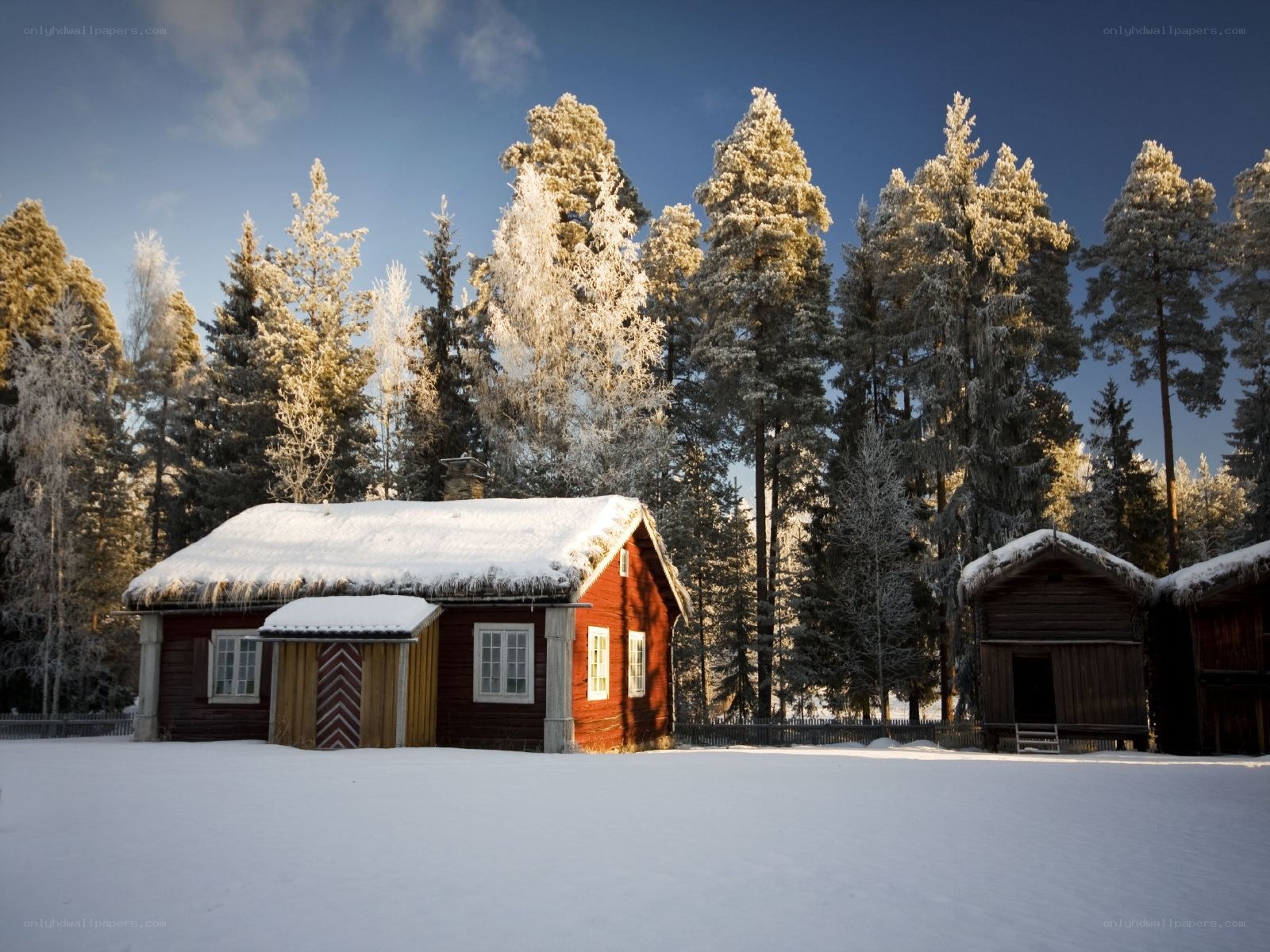 Snowy cabin in winter forest