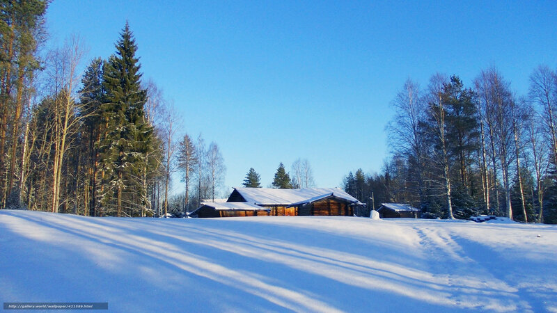 Snowy cabin in winter forest