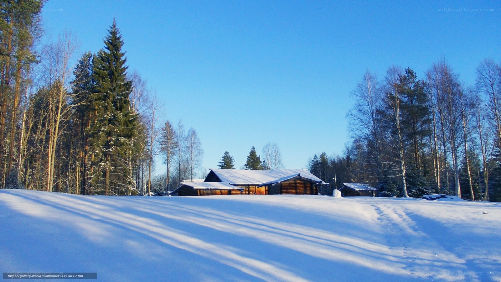 Snowy cabin in winter forest