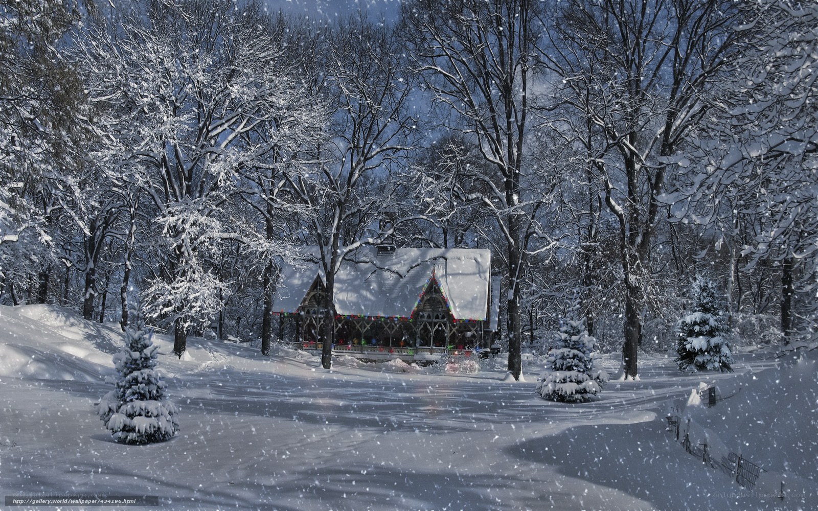 Snowy cabin in winter forest