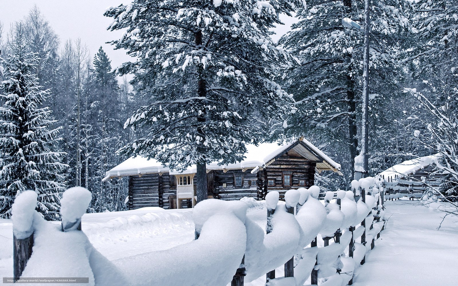 Snowy cabin in winter forest