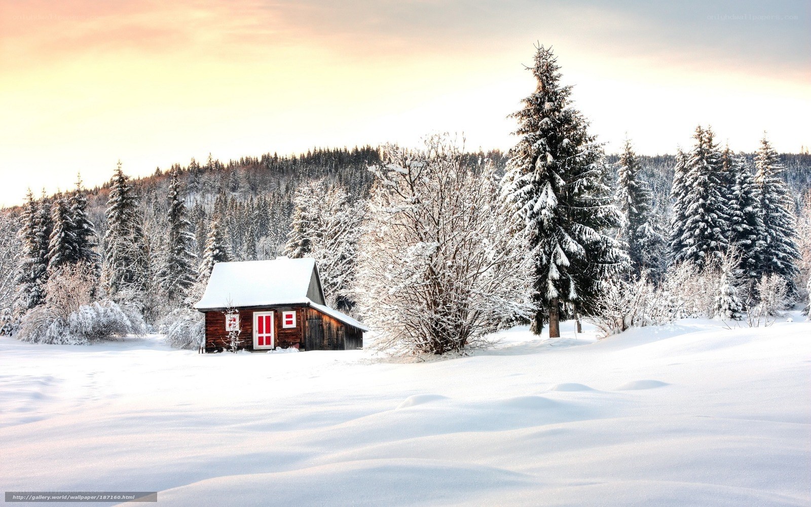 Snowy cabin in winter forest