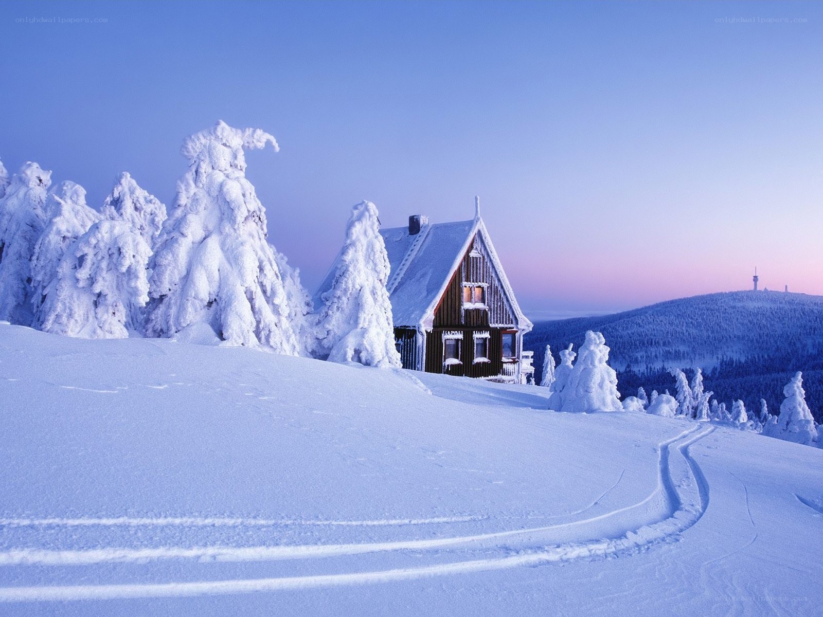 Snowy cabin in winter landscape