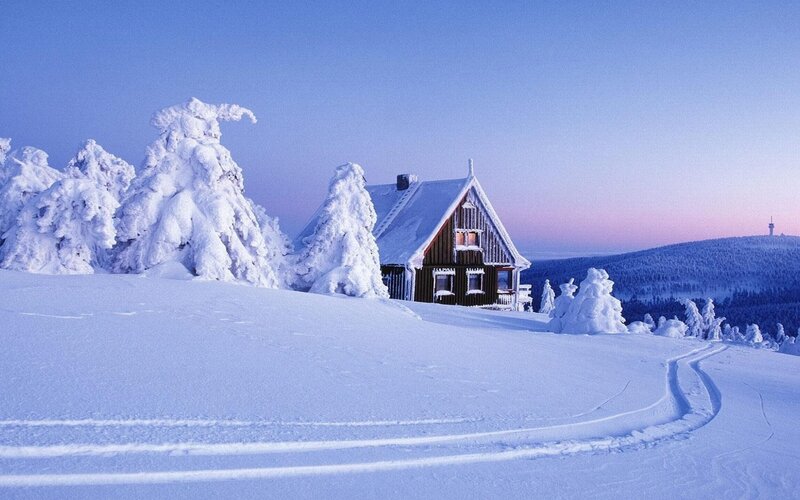 Snowy cabin in winter landscape