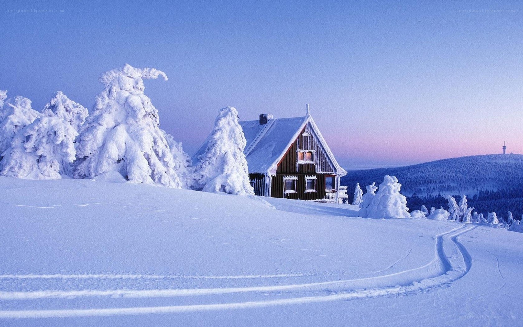 Snowy cabin in winter landscape