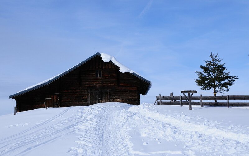 Snowy cabin in winter landscape