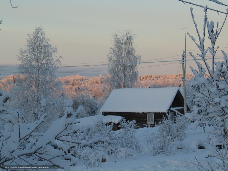Snowy cabin in winter landscape