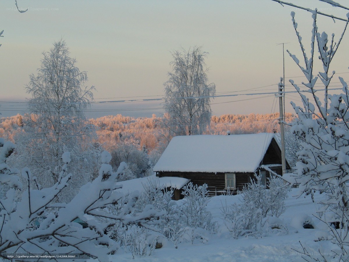 Snowy cabin in winter landscape