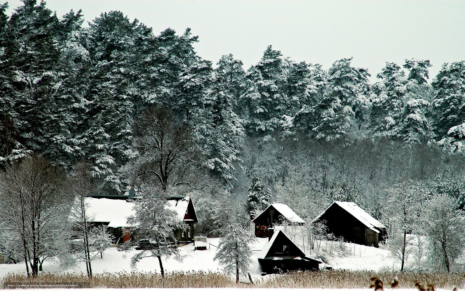 Snowy cabin village