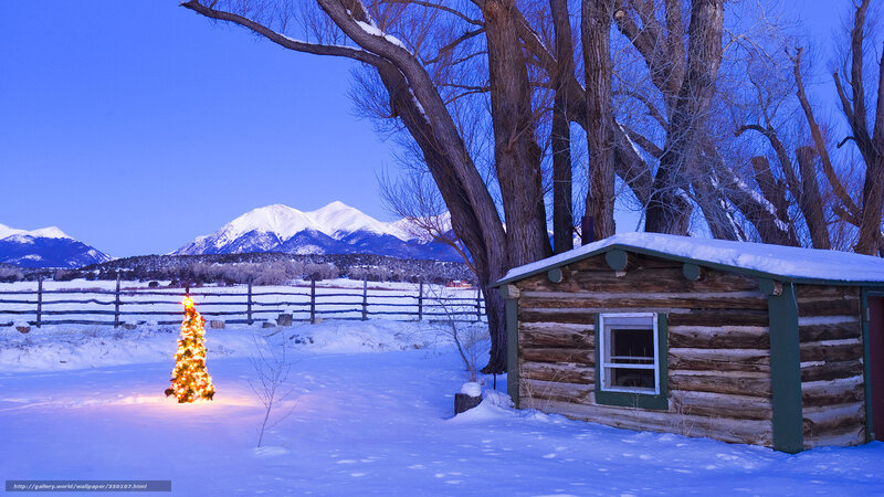Snowy cabin with Christmas tree